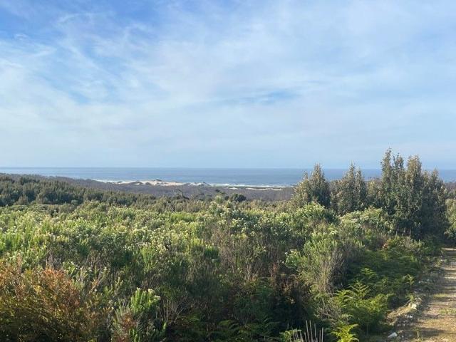 Cottage for sale in Granville Harbour, Tasmania