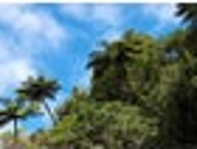 Land for sale in Ohaeawai, Northland