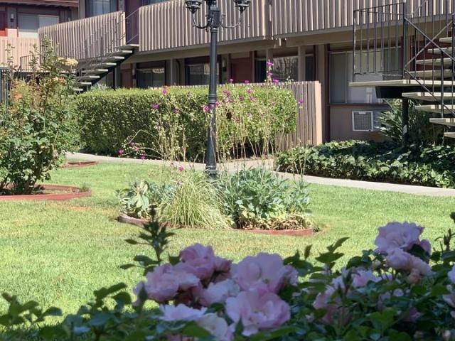 Apartment for rent in Campbell