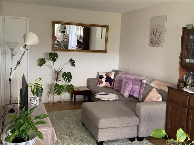 House for rent in Westgate, Henderson-Massey