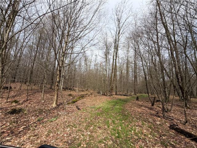 Land for sale in Cherry Creek, New York