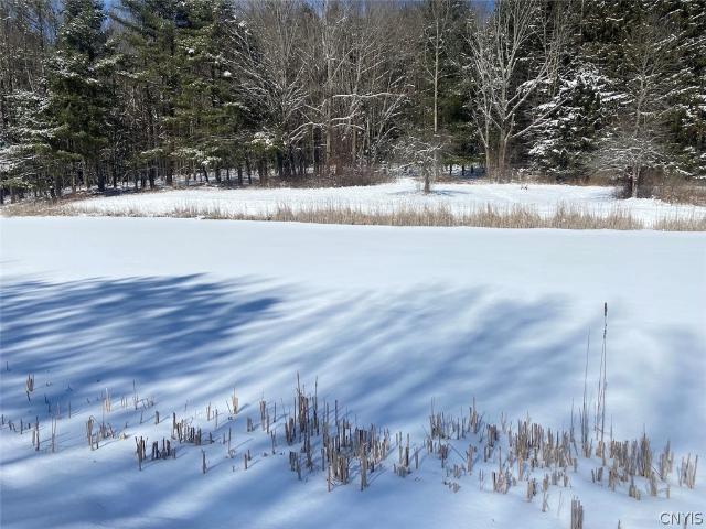 Land for sale in Belfast, New York