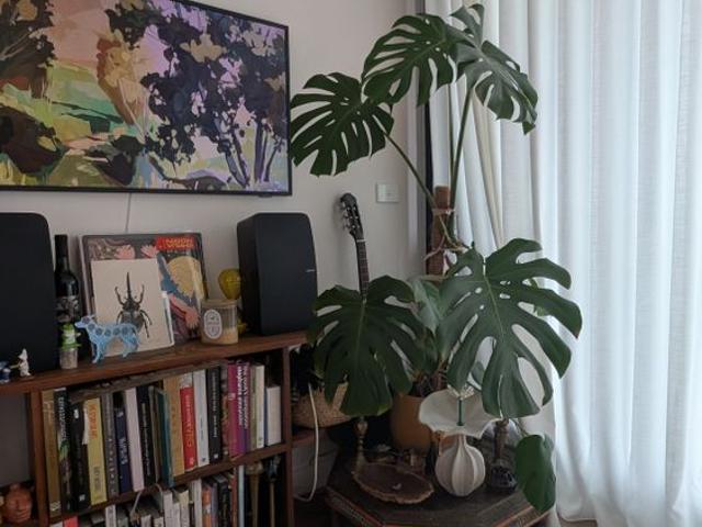 Room for rent in Camerons Creek, Victoria