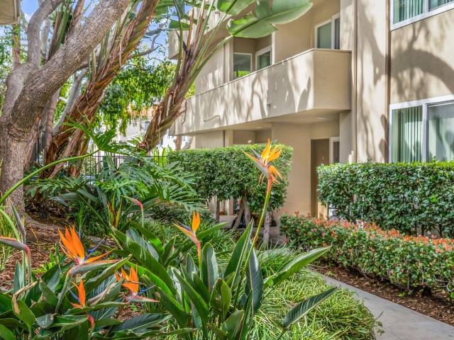 Apartment for rent in Canoga Park, California