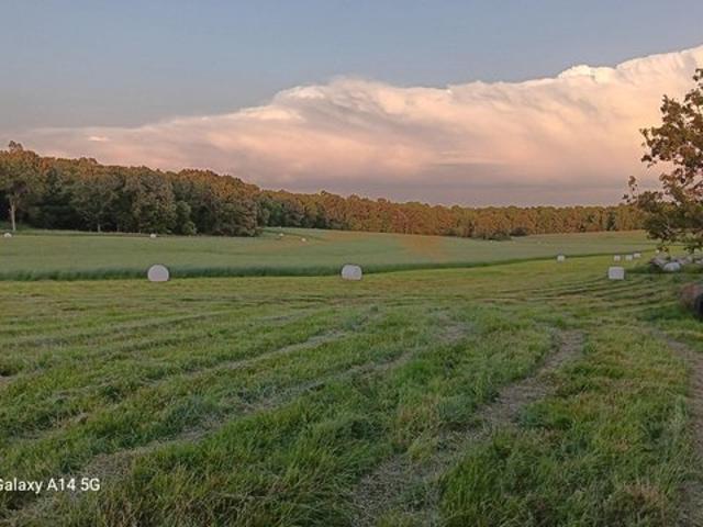Farm for sale in Howell, Missouri