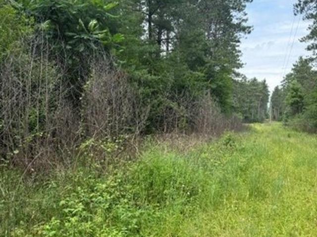 Land for sale in Black River Falls, Wisconsin