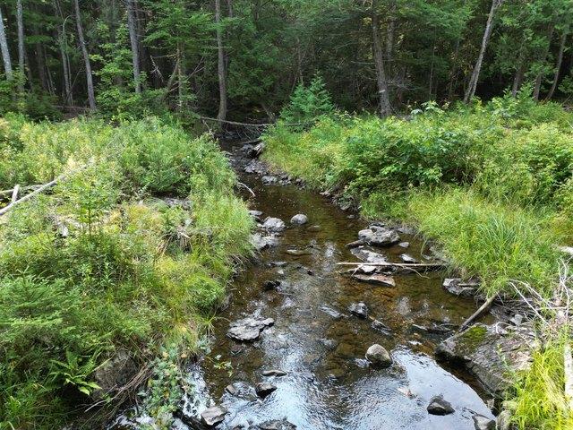 Land for sale in Springfield, Maine