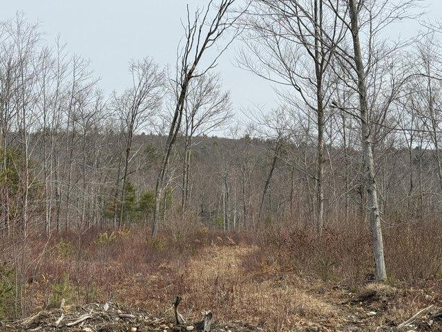 Land for sale in East Waterboro, Maine