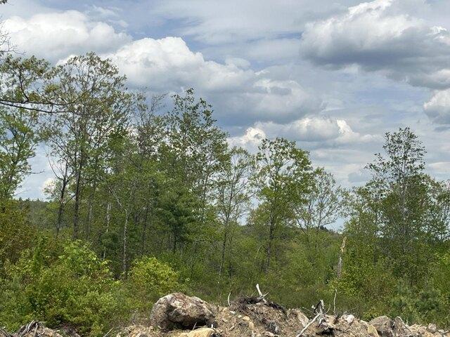 Land for sale in East Waterboro, Maine