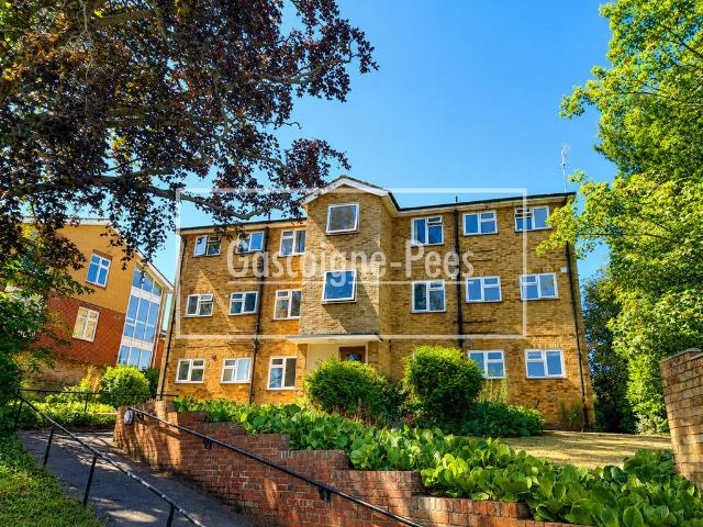 Apartment for rent in Charlotteville, Westborough