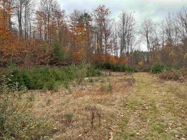 Land for sale in New Hampshire