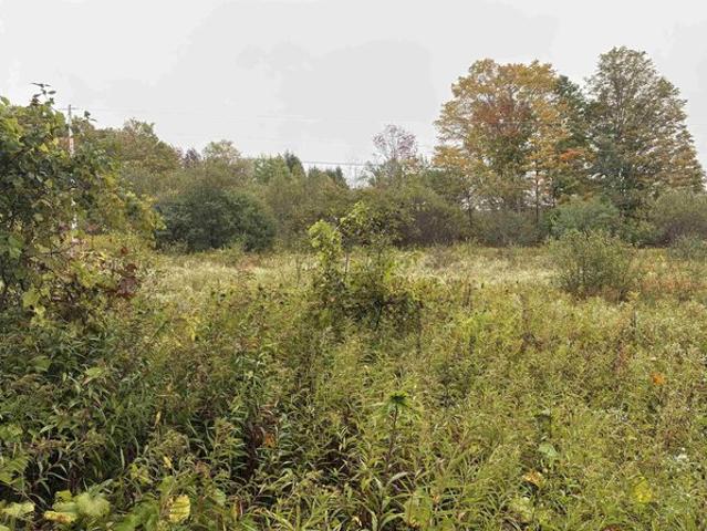 Land for sale in Brookfield, Vermont