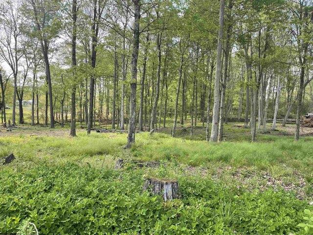 Land for sale in Reedsville, West Virginia