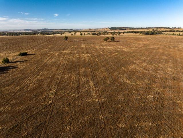 Acreage for sale in Coolamon, New South Wales