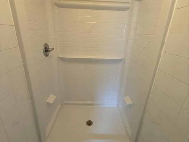 Apartment for rent in Tampa, Florida