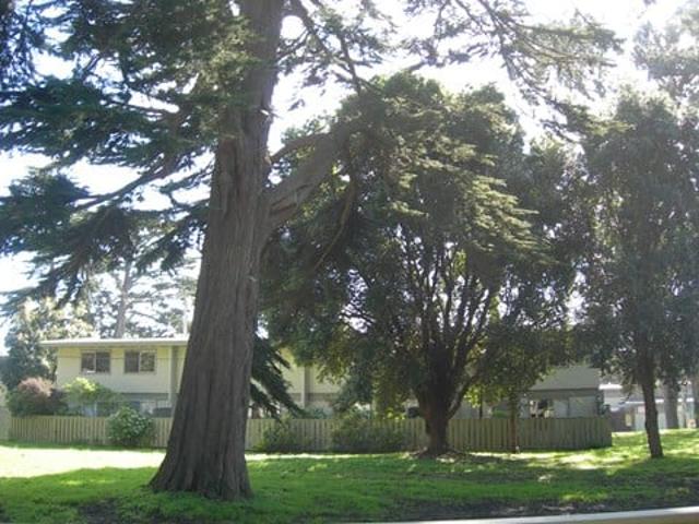 Townhouse for rent in San Francisco