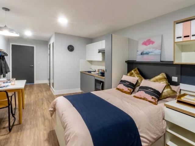 Studio for rent in Cumnor Hill, Dromore