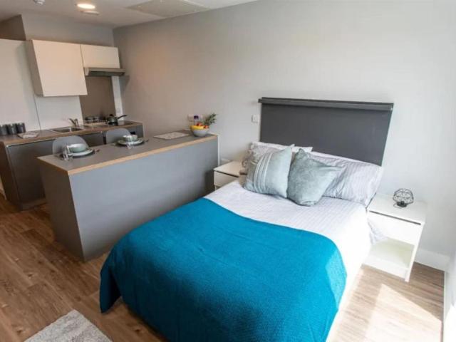 Studio for rent in Cumnor Hill, Dromore