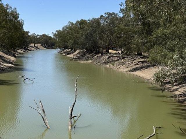 Cottage for sale in Louth, Bourke Shire Council