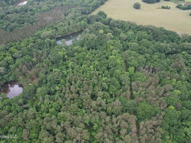 Land for sale in Vaughan, Mississippi
