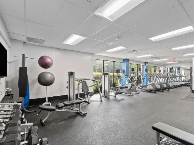 Apartment for rent in Greenbelt, Maryland