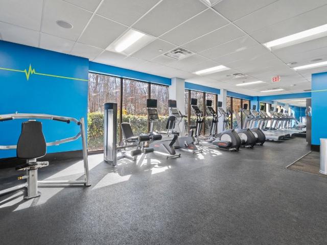Apartment for rent in Greenbelt, Maryland