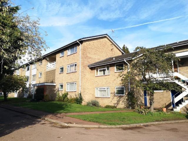 Apartment for rent in Reading
