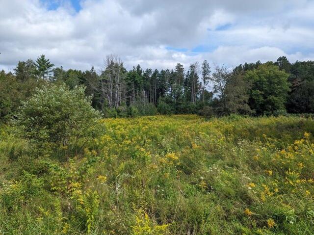 Land for sale in West Hampden, Hampden