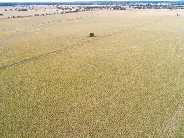 Property for sale in Drillham South, Queensland