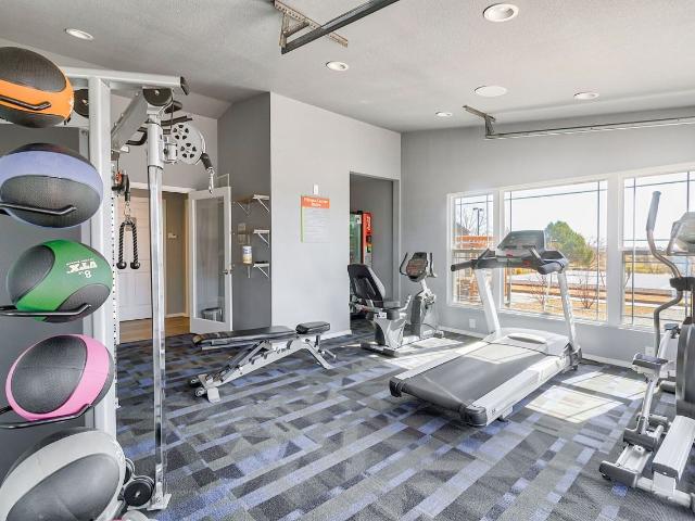 Apartment for rent in Colorado