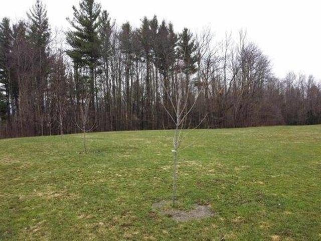 Land for sale in Westfield, Vermont