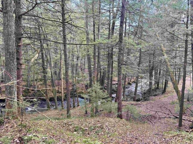 Land for sale in Westfield, Vermont