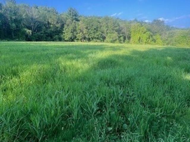 Land for sale in Eastford, Connecticut