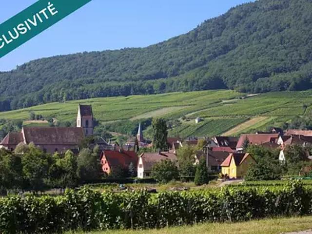 Terrain vente à Thann-Guebwiller, Westhalten