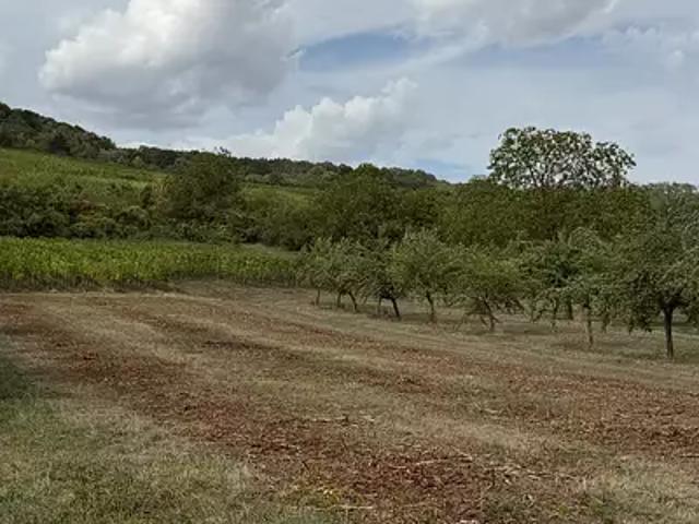 Terrain vente à Westhoffen, Collectivité européenne d'Alsace