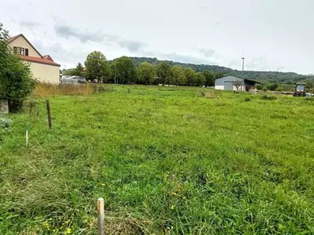 Terrain vente à Molsheim, Westhoffen