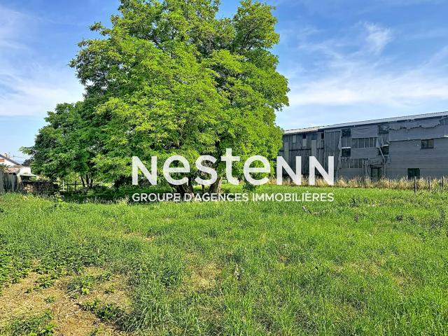 Terrain vente à Westhouse, Collectivité européenne d'Alsace