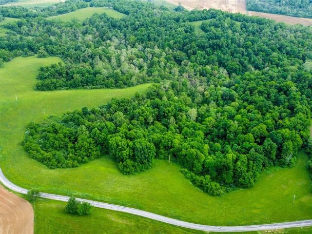 Land for sale in Stockport, Ohio