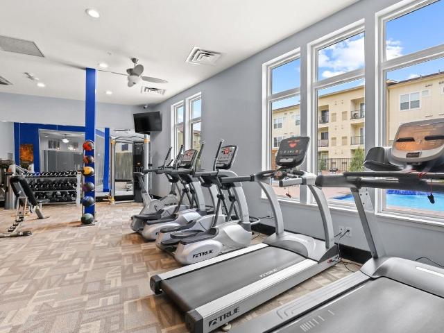 Apartment for rent in Lakewood, Colorado