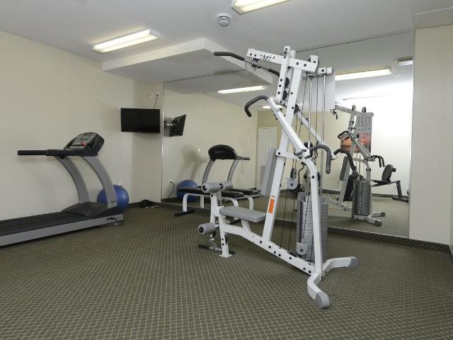 Apartment for rent in Arva, Ontario