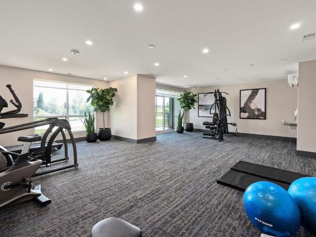 Apartment for rent in Arva, Ontario
