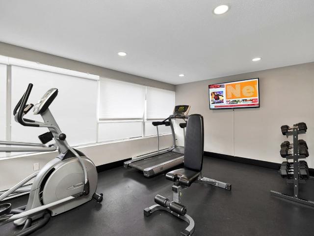 Apartment for rent in Arva, Ontario
