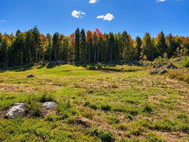 Land for sale in Weston, Windsor County