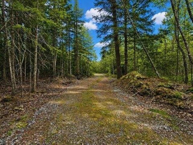 Land for sale in Maine
