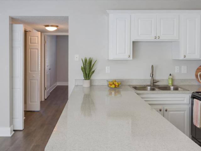 Apartment for rent in Tampa, Florida