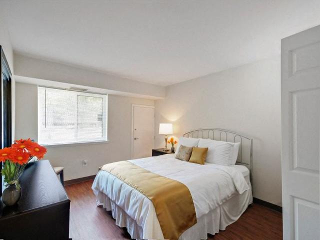 Apartment for rent in Baltimore, Maryland