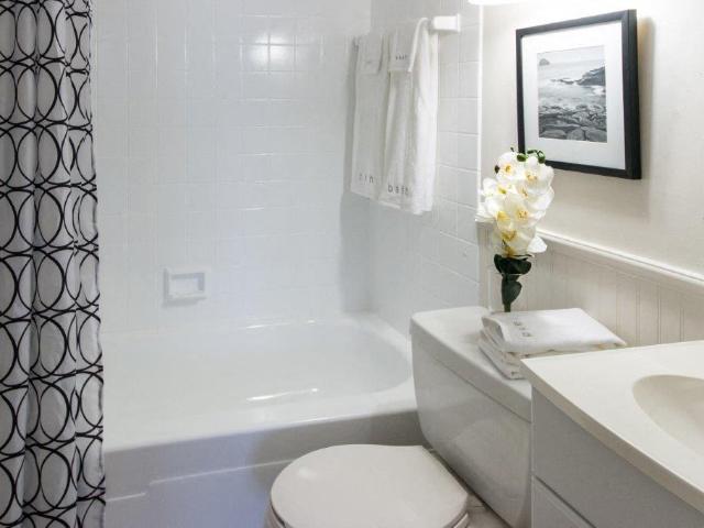 Apartment for rent in Kingston, Ontario