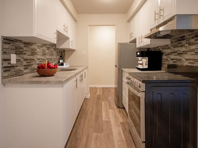 Apartment for rent in Kingston, Ontario