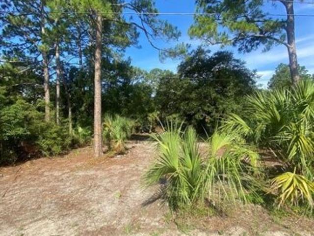 Land for sale in Panacea