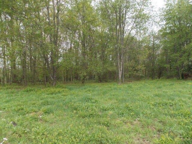 Land for sale in Butler